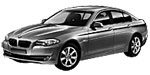 BMW F10 C267C Fault Code